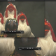 Illustration for article titled Is There a Noticeable Difference Between 1080p and 720p YouTube?